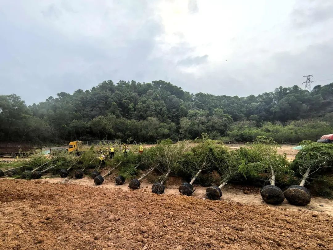 d50e2b358bd1c4b1a9b466969b16086d.jpg d50e2b358bd1c4b1a9b466969b16086d.jpg