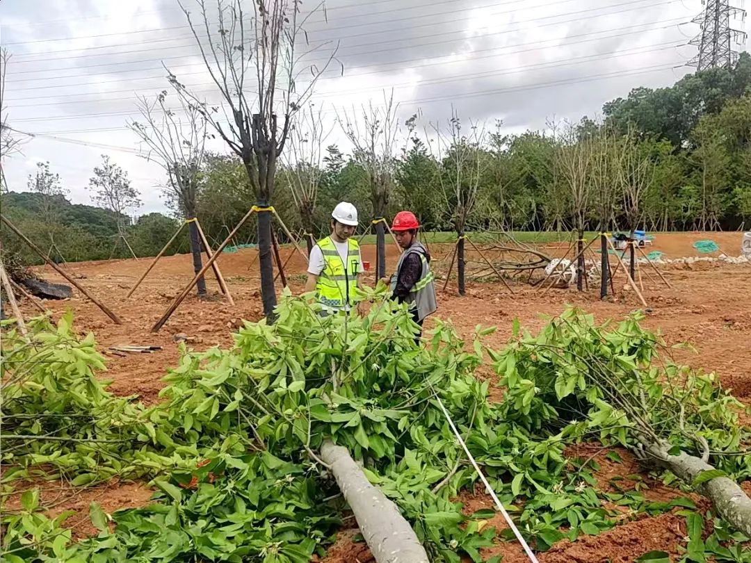 92cfeaab5b80cf3ee4776556d2486c88.jpg 92cfeaab5b80cf3ee4776556d2486c88.jpg