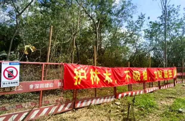 2a948edbdb4c52bb49ffa39f808d0574.jpg 2a948edbdb4c52bb49ffa39f808d0574.jpg